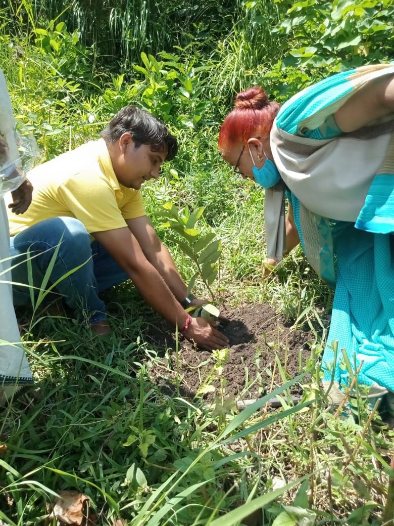 Tree Plantation During Uttarakhandi Lok Parv - Harela - 2021